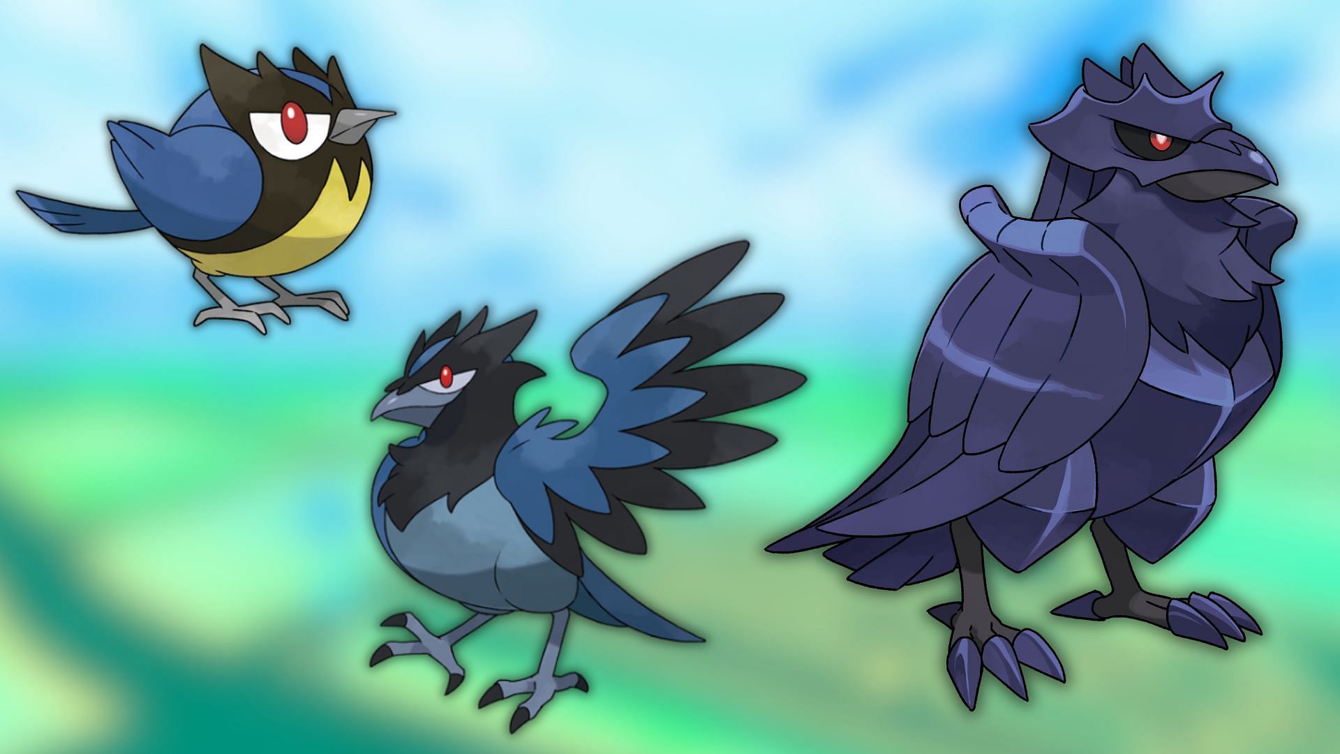 Rookidee's evolution family: Rookidee, Corvisquire and Corviknight (Image via The Pokemon Company)